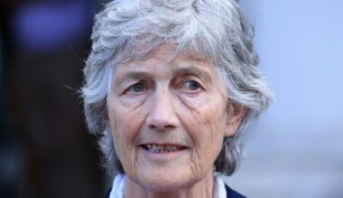 Catherine Connolly insists gun convict was not Éirígí member when she was hired
