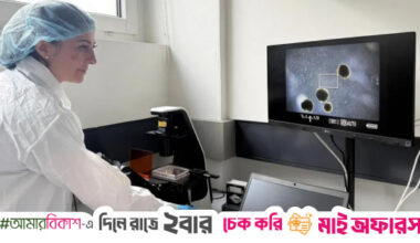 From sci-fi to science: Scientists grow mini brains to power future computers