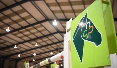 Horse Sport Ireland hit with bullying complaints as showjumpers revolt over process to recruit new manager