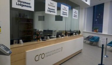 CRO to strike off two Co Longford firms just months after formation