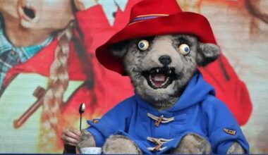 Paddington creators sue ‘Spitting Image’ for sweary, drug-addled bear depiction