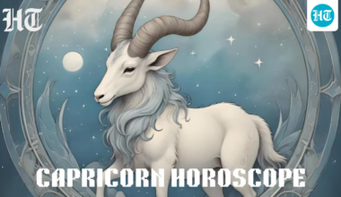 Capricorn Horoscope Today for October 8, 2025: You may come up with new concepts at team sessions