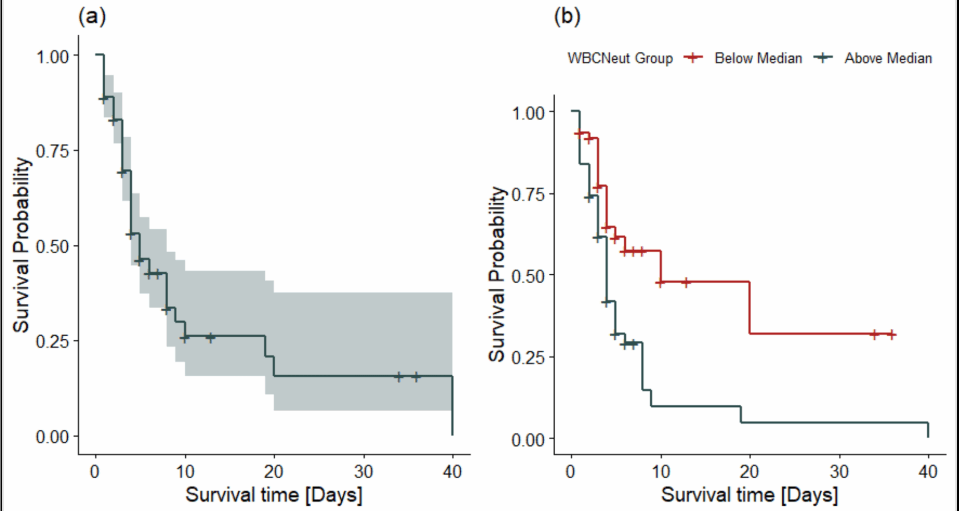 Prognostic value of low-cost white blood cell indices and procalcitonin for mortality in Rwandan sepsis patients: a prospective intensive care unit study | Tropical Medicine and Health