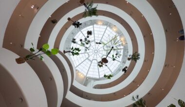 Guggenheim's 2026 Shows Include Carol Bove Survey, Taryn Simon Project