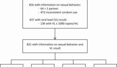 Behavioral HIV-serosurvey reveals clustering of risk factors likely plays a key role in sustaining HIV epidemic in rural KwaZulu-Natal, South Africa | BMC Public Health