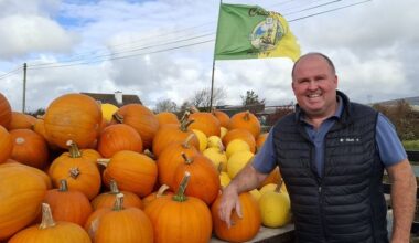 Meet the Kerry farmer growing pumpkins on the Wild Atlantic Way