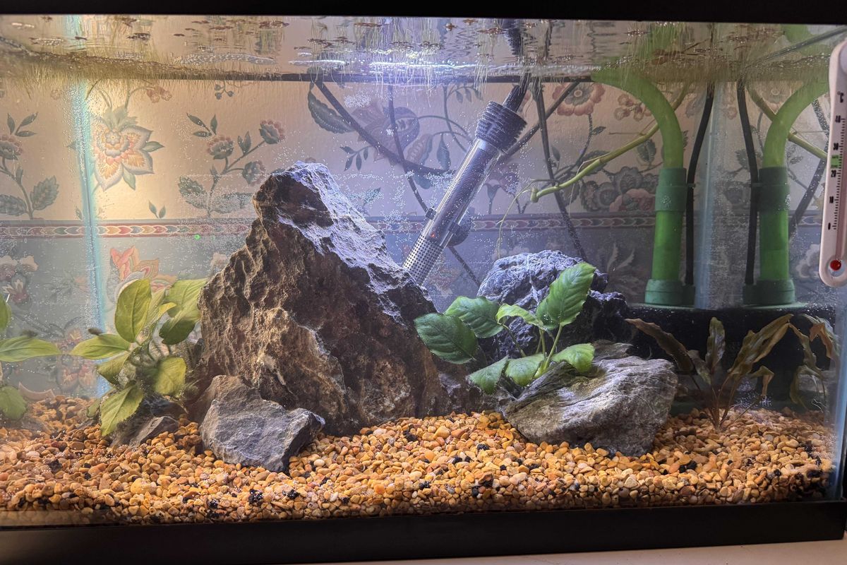 hobbies, analog hobbies, making art, exercise, digital detox, ask reddit, creativity, art, dance, hobbies