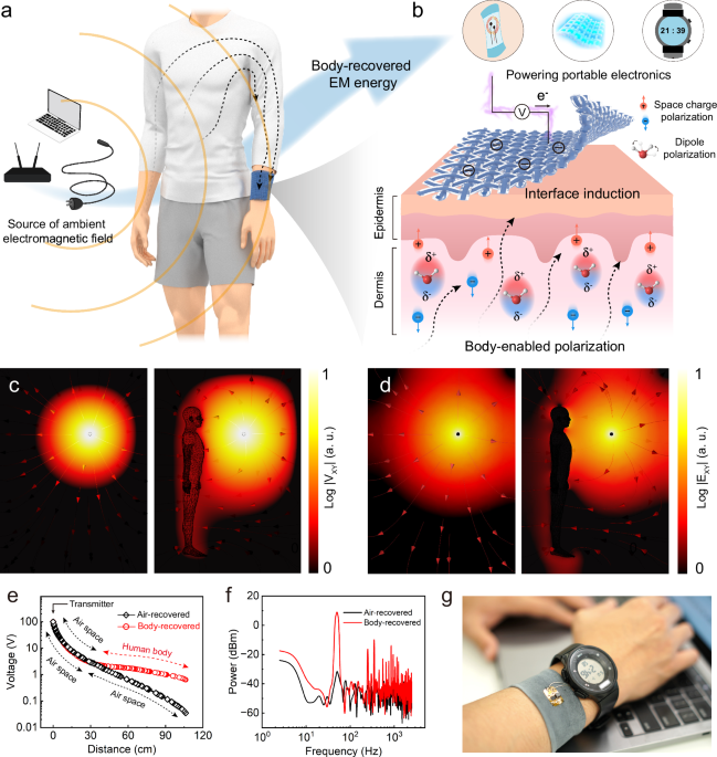 Leveraging body dielectric polarization for ambient electromagnetic energy recovery via e-textile