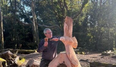 ‘I picked up a chainsaw with a view of making a living’ – Meet the craftsman who turned Galway tree wreckage into sculptures