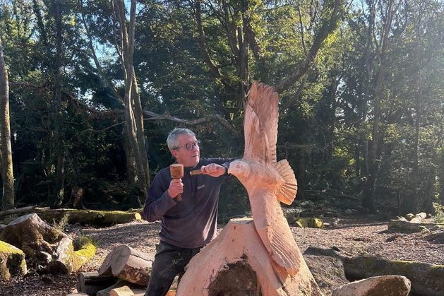 ‘I picked up a chainsaw with a view of making a living’ – Meet the craftsman who turned Galway tree wreckage into sculptures