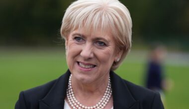 Ivan Yates ‘no more involved in my campaign than Joe Brolly is in Catherine Connolly’s’ – Heather Humphreys on former minister’s comments
