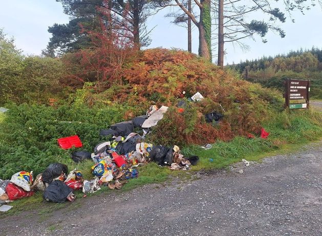 Fly tipping down significantly in Kerry, council reports
