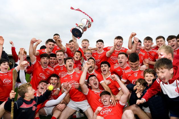 ‘The last seven days have been the best I've had in sport’ – Éire Óg crowned Clare double champions