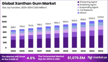Xanthan Gum Market Size