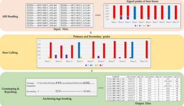 SAGPEK: fast and flexible approach to identify genotypes of Sanger sequencing data | BMC Bioinformatics