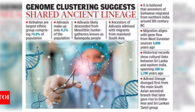 Sinhalese genetically closer to Andhra Pradesh than north India, finds study | Vijayawada News