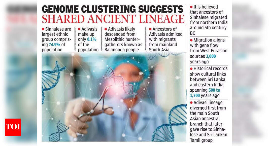 Sinhalese genetically closer to Andhra Pradesh than north India, finds study | Vijayawada News
