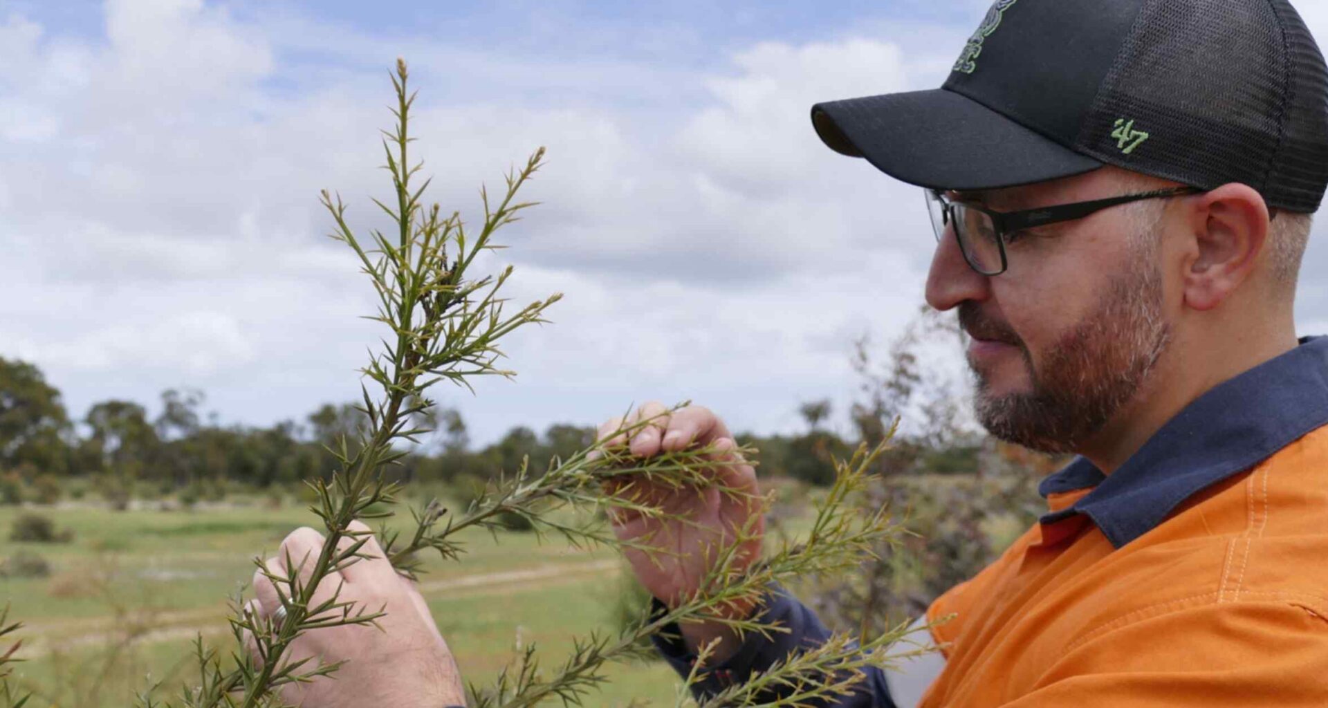Australia's carbon credits in spotlight as emissions rules tighten