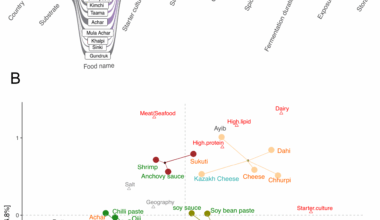 Ecological factors that drive microbial communities in culturally diverse fermented foods | BMC Microbiology