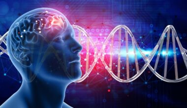 Cardiologist, neurologist explain how heart and brain health influence each other: 'they are an nseparable pair…’