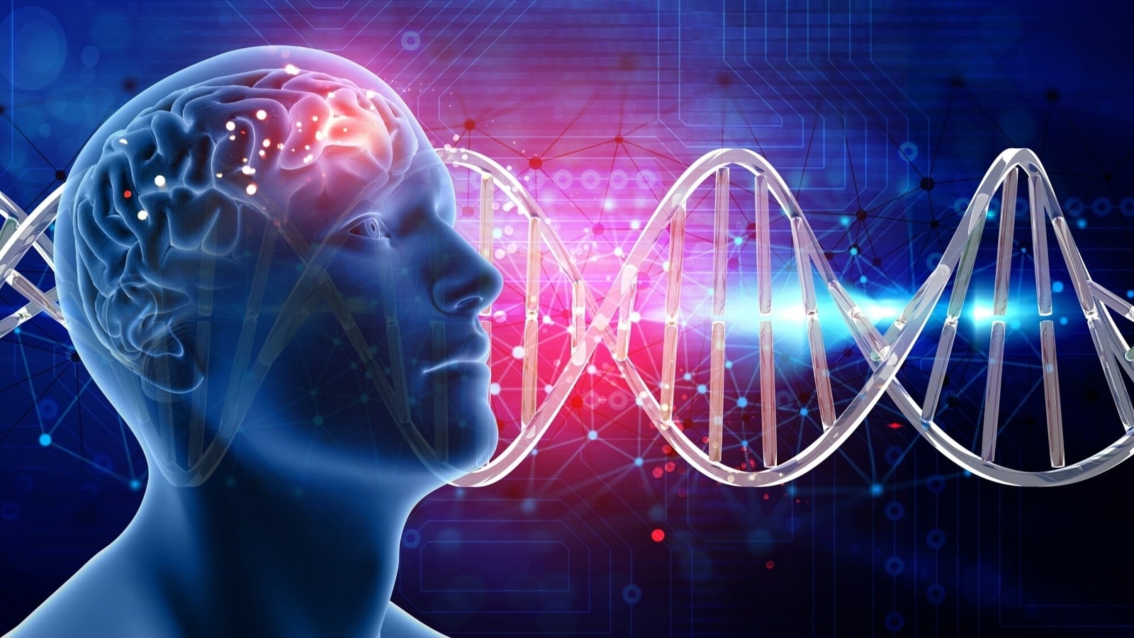 Cardiologist, neurologist explain how heart and brain health influence each other: 'they are an nseparable pair…’