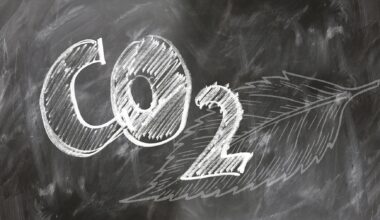 Carbon offsets have failed for 25 years, and most should be phased out