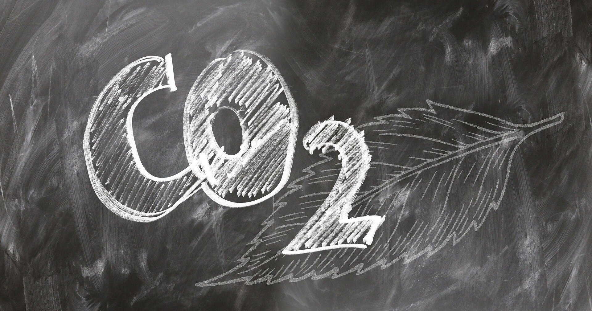 Carbon offsets have failed for 25 years, and most should be phased out