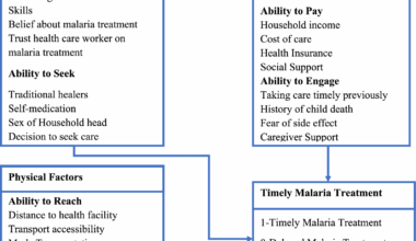 Determinants of timely malaria treatment among under-five children attending public health facilities in Kisumu East sub-county, Kenya: a health facility-based cross-sectional study | Malaria Journal