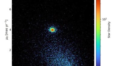 Gaia provides a deep look into the galactic open cluster NGC 2506