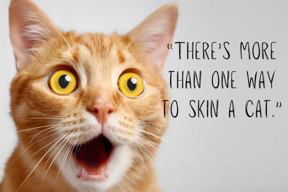 southern sayings; funny sayings; speaking southern; funny; silly; southern phrases