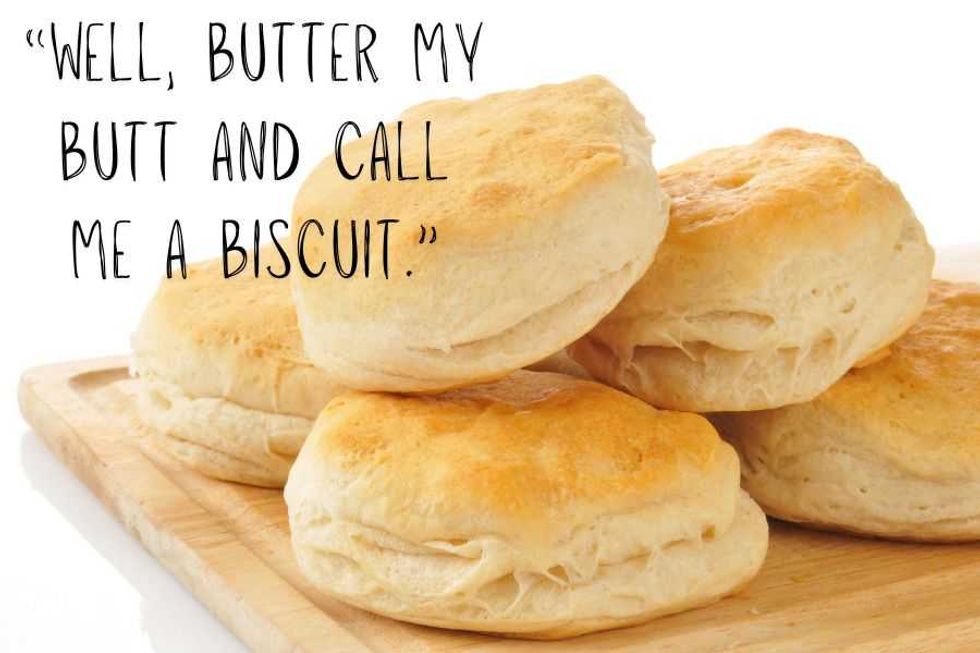 southern sayings; funny sayings; speaking southern; funny; silly; southern phrases