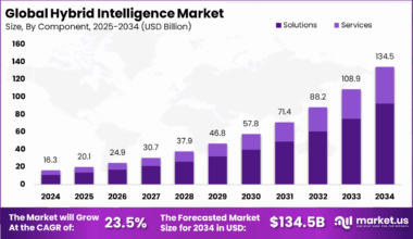 hybrid intelligence market