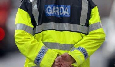 Horses killed following crash with vehicle in Kilkenny