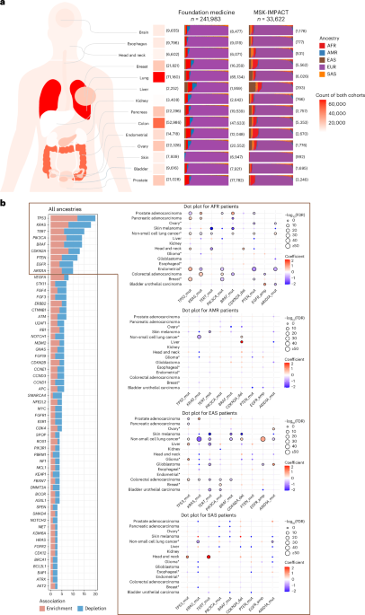 Meta-analysis reveals differences in somatic alterations by genetic ancestry across common cancers