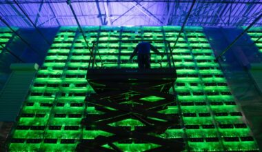 Crypto Miners Riding the AI Wave Are Leaving Bitcoin Behind