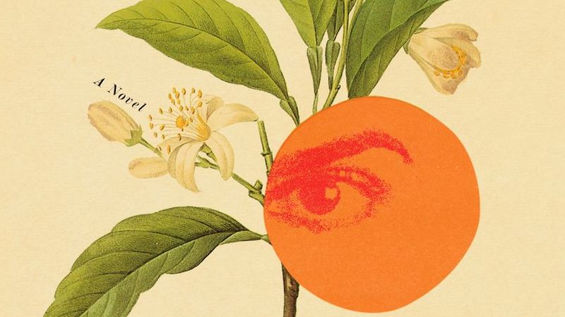 ‹ The Best Reviewed Books of the Week Book Marks