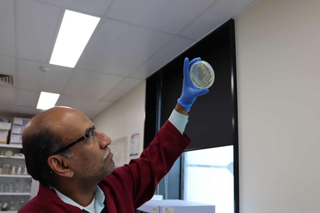 Monash scientists uncover genetic code that could unlock game-changing mRNA disease therapies