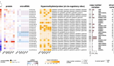 MultiModalGraphics: an R package for graphical integration of multi-omics datasets | BMC Bioinformatics