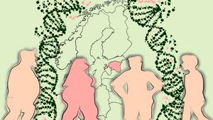 Study helps to understand the role of genetics in the body weight