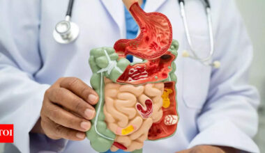 Gastroenterologist reveals 9 everyday foods that could boost digestion, immunity, and mood |