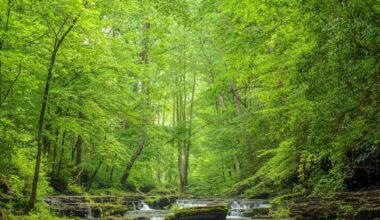 A Policy And Investment Framework For A Healthier Planet, People, And Communities