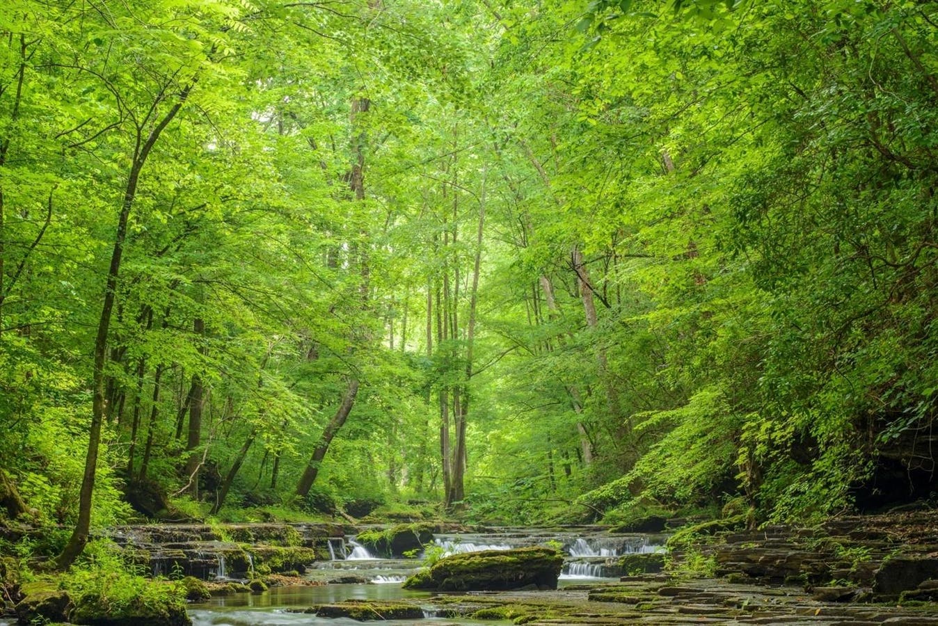 A Policy And Investment Framework For A Healthier Planet, People, And Communities