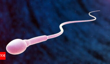 How ageing affects men’s sperm and genetic health: Shocking truths doctors want you to know |