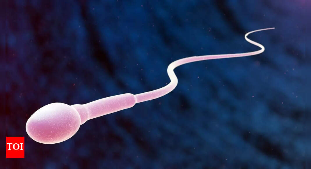How ageing affects men’s sperm and genetic health: Shocking truths doctors want you to know |