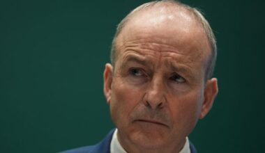 Inflation now back at 2pc despite rise in grocery prices, Taoiseach tells Dáil