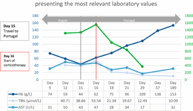 The usual suspect—malaria? Diagnostic challenges in post-artesunate delayed haemolysis: a clinical laboratory perspective through a case report | Malaria Journal