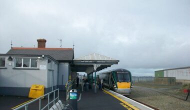 Commuter chaos as Wexford train collides with horses killing two of them