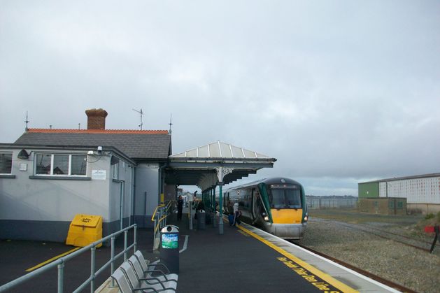 Commuter chaos as Wexford train collides with horses killing two of them