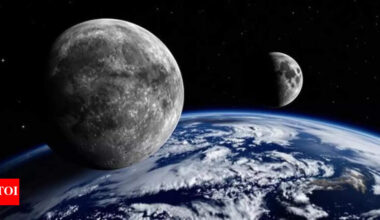 SpaceX 'Employee No. 1' wants to take his company not to the planet Elon Musk wants to take 'everyone', but ...