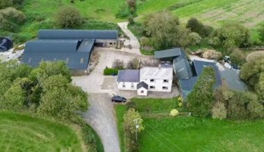Rare opportunity in Wexford as farmhouse with over 100 acres set to be auctioned off